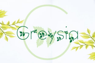 Greysia Font: A Fresh Addition to Your Branding Toolkit