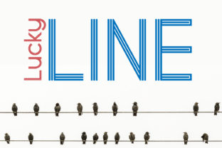 Lucky Line Font: Modern Monogram for Editorial Elegance