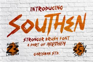 Southen Display Font for Bold Digital Branding