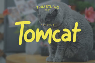 Tomcat Font: A Playful Display Typeface for Craft Creators