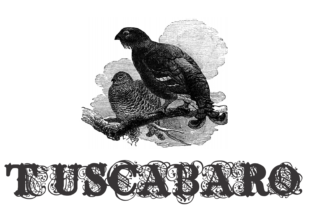 Tuscabaro Font for Eye-Catching Campaigns